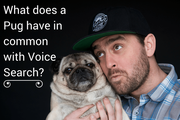 Voice Search Marketing