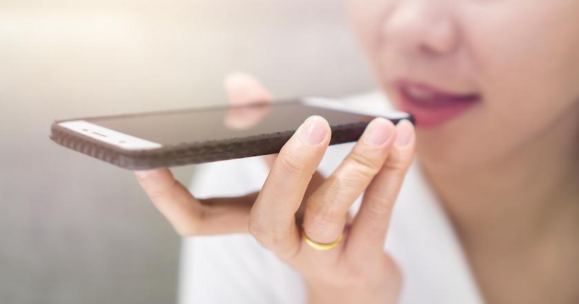 Voice search SEO
