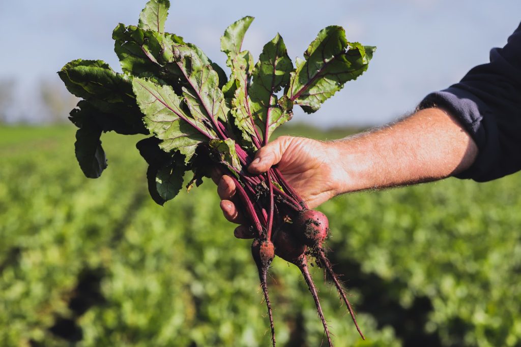 SPUD interview: what does it mean to be a sustainable grocery store?