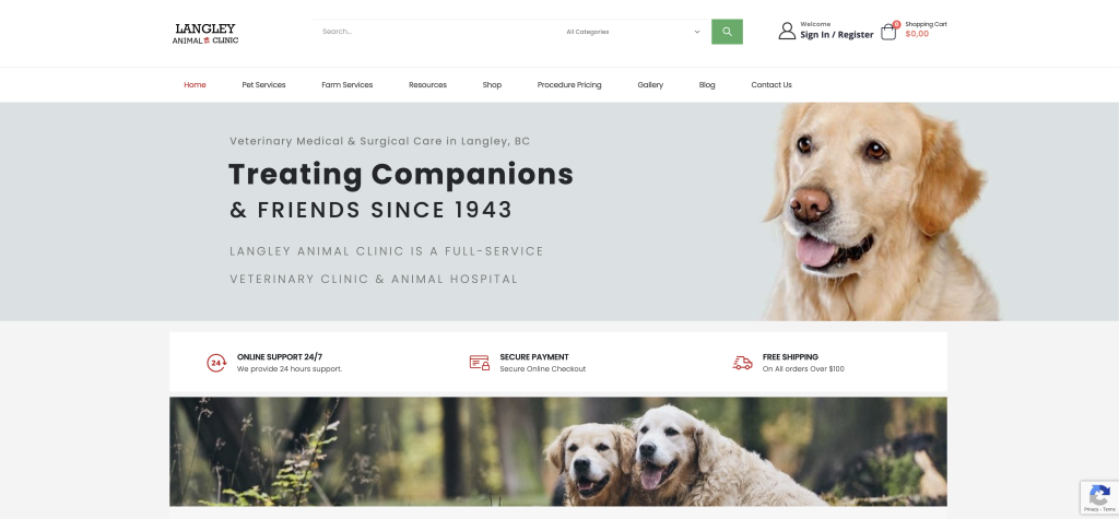 Langley Animal Clinic | Our Clients | Case Study