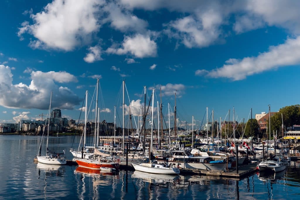 local SEO tips for businesses in Victoria, BC