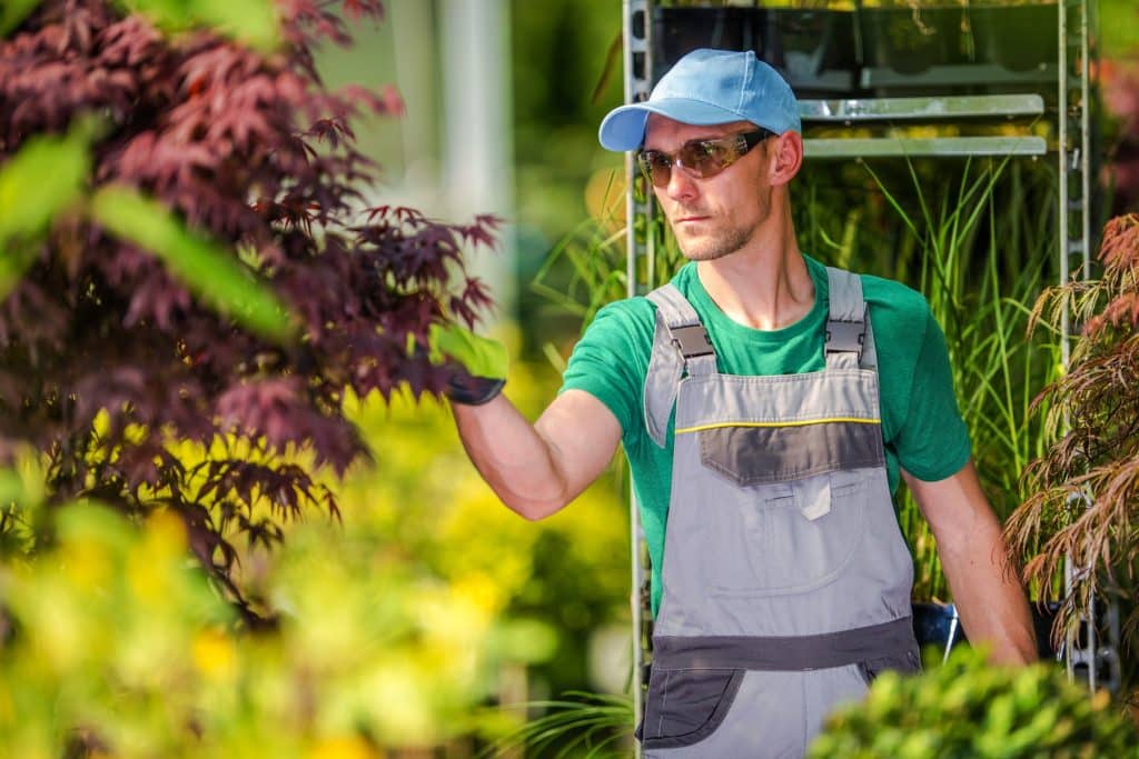 SEO for landscapers and landscaping companies